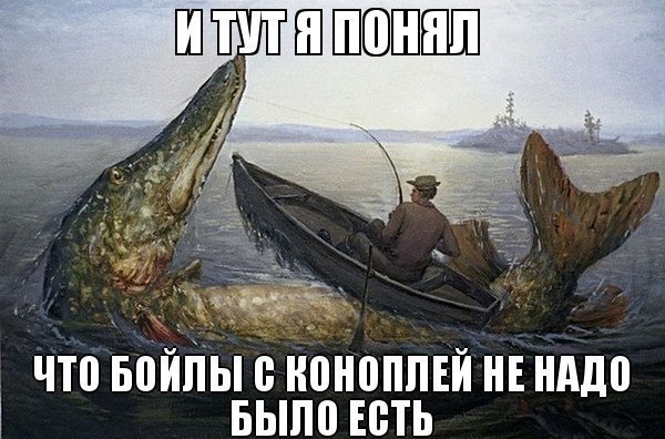Картинки по запросу прикольные картинки на рыбалке