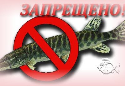 Охрана рыболовства в Москве и Московской области