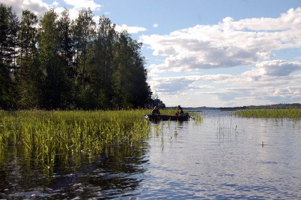 Рыбалка в Москве и Московской области