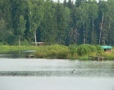 Летняя рыбалка в июле в Москве и Московской области