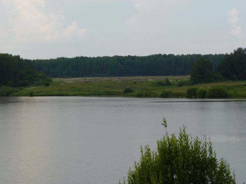 Летняя рыбалка в июне в Москве и Московской области