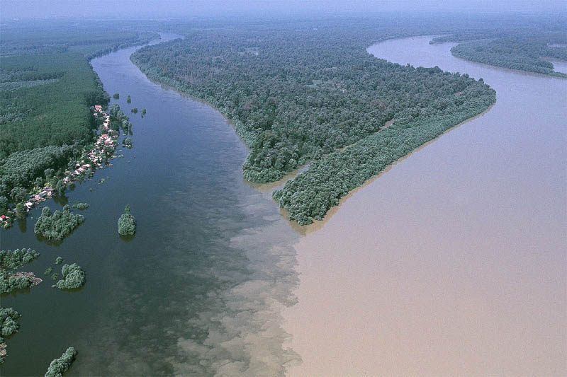 Реки Драва и Дунай, фотография