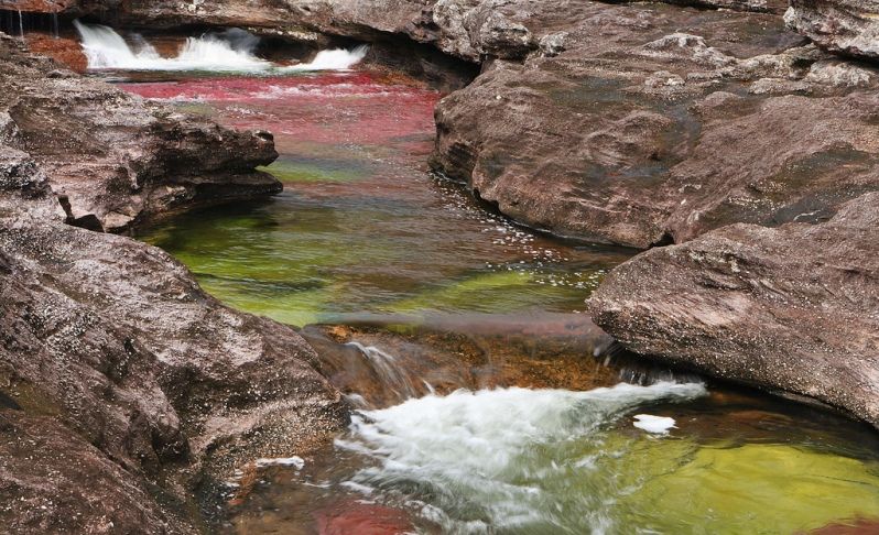 Каньо Кристалес - самая красивая река в мире, фотография
