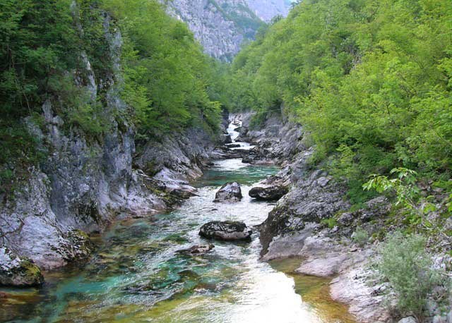 Каньон реки Мртвица в Черногории, фотография
