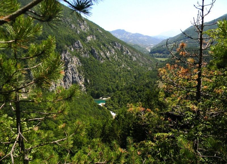 Река Тара в парке Дурмитор, Черногория, фотография
