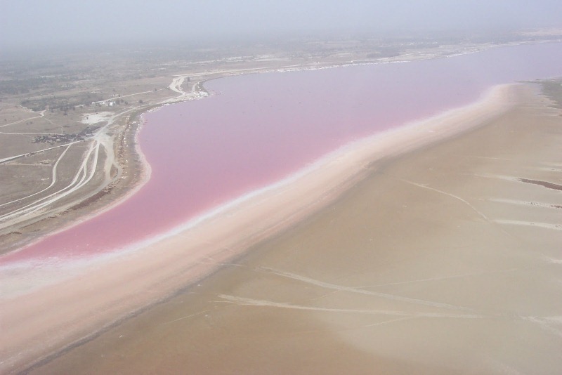 Розовое озеро Ретба в Сенегале, фотография