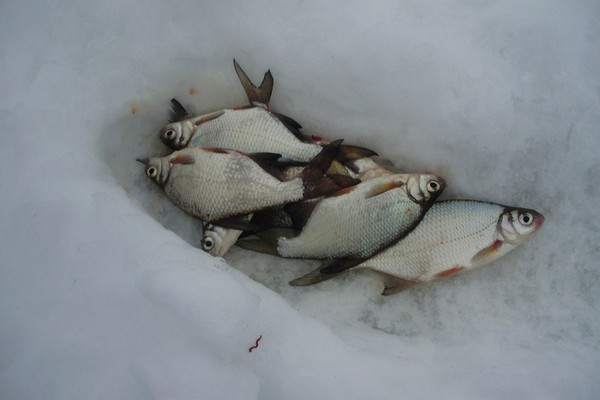 Зимняя рыбалка, фотография