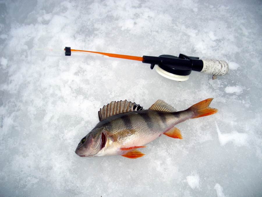 Зимняя рыбалка, фотография