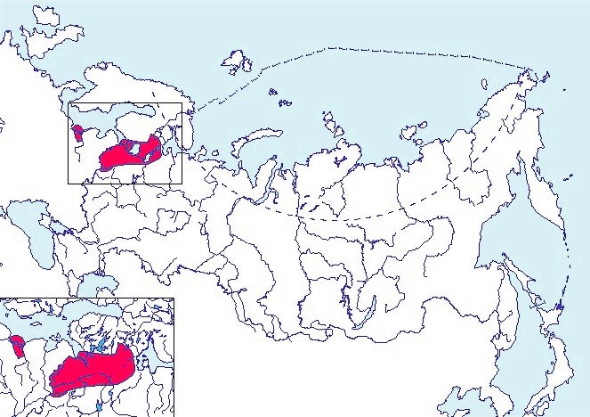 Кумжа, озерная и ручьевая форель, беломорско-балтийский подвид карта ареала