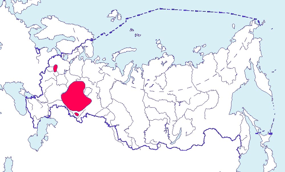 Кумжа, ручьевая форель бассейнов рек Волга и Урал карта ареала