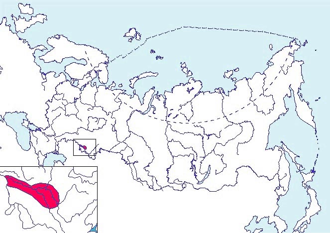 Нельма (подвид белорыбица) карта ареала