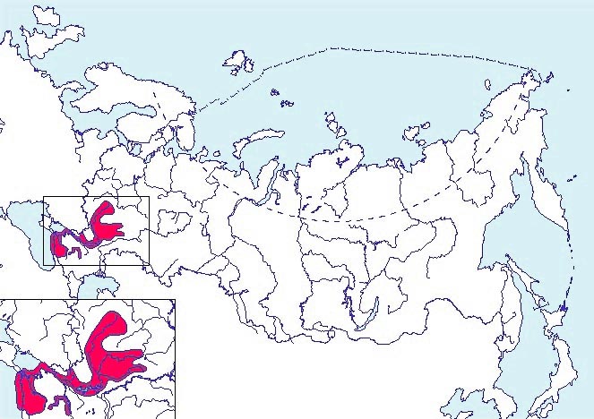 Шемая азово-черноморская карта ареала