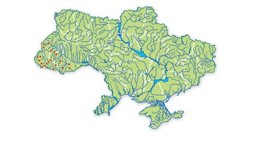 Марена дунайско-днестровская, усач дунайско-днестровский карта ареала