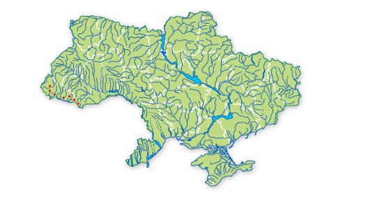 Минога венгерская (карпатская) карта ареала