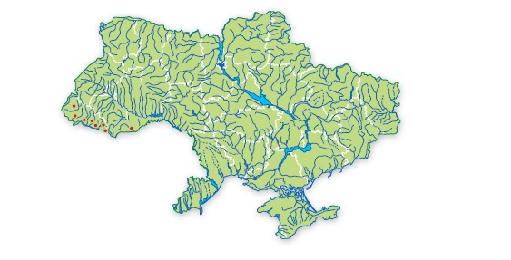 Пескарь дунайский длинноусый карта ареала