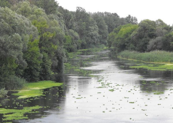 Река Днепр может превратиться в стоячее болото