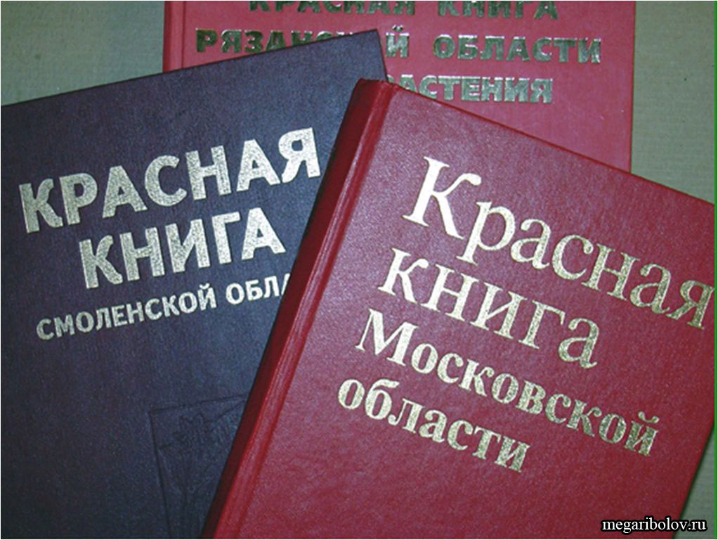 Красная книга
