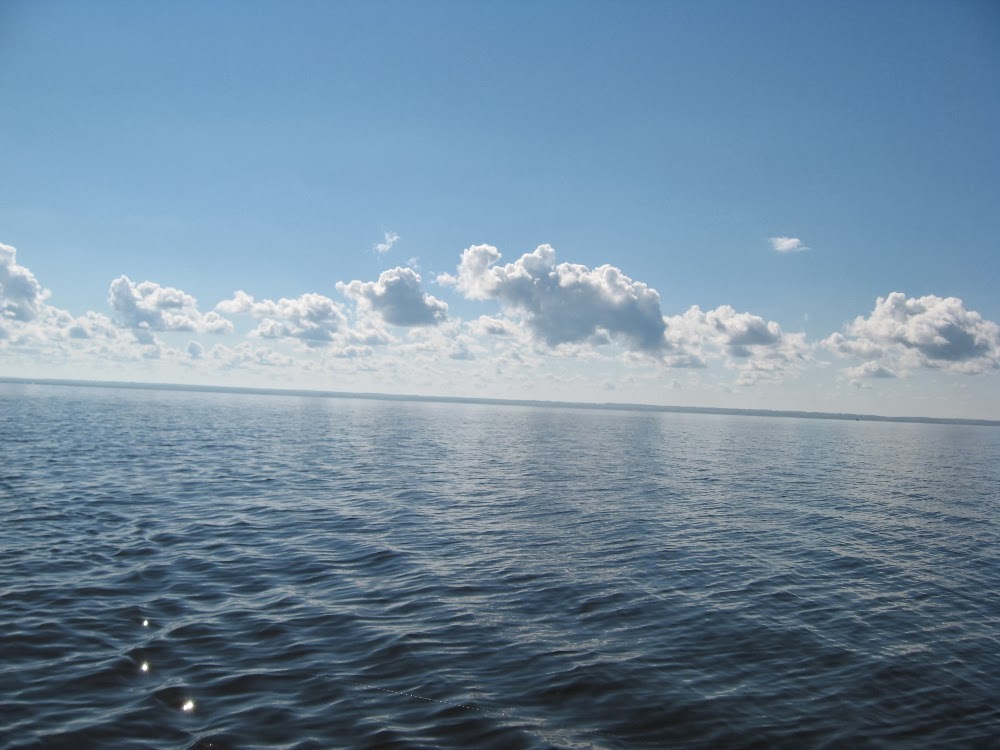 Фотография озера Кубенское