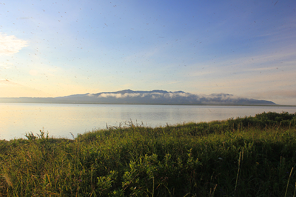 Фотография озера Нерпичье