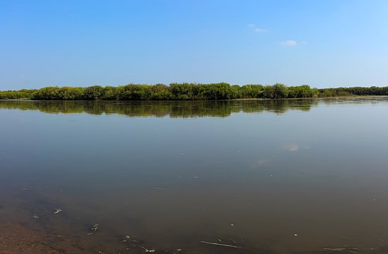 Фотография реки Аргунь
