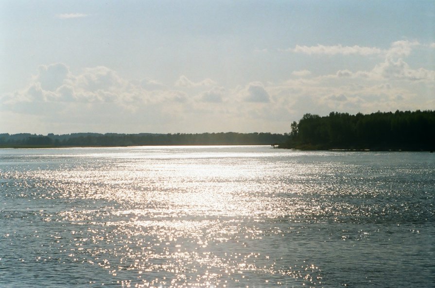 Фотография реки Обь
