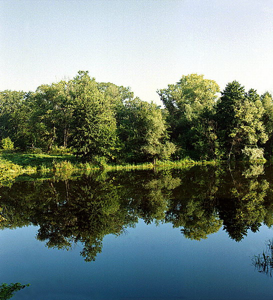 Фотография реки Десна