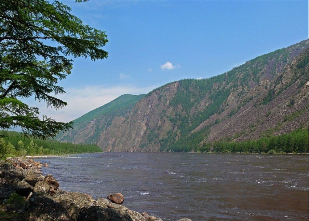Фотография реки Олёкма